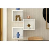 Aydın Kitaplıklı Raf, Elf-Dm-1004