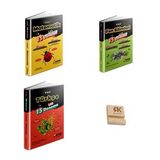 Aydın LGS 8. Sınıf Matematik (15li) Fen Bilimleri (15li) ve Türkçe (15li) Denemeleri 3lü Set