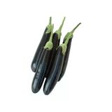 Aydın Siyah Patlıcan Tohumu - 5 Gram