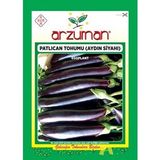 AYDIN SİYAHI PATLICAN TOHUMU 10 GR ORT 2000 AD TOHUM