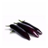 Aydın Siyahı Patlıcan Tohumu (10 Gram)