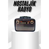 Aydogan's Müzik Kutusu Bluetooth Bağlantılı El Fenerli Nostaljik Tasarım Radyo - Renkli