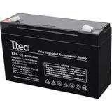 Aydogan's Ttec 6V 12 Ah Kuru Bakımsız Akü