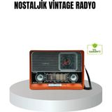 Aydogan's Vintage Radyo – Nostaljik Tasarım ve Modern Teknoloji Bir Arada - Renkli