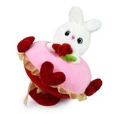 Ayıcık Buketi,Sevgi Buketi,Pelüş Çiçek,Pelüş Tavşan,Gül Buketi, (Pembe Tavşan)