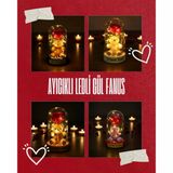 Ayıcıklı Ledli Gül Fanus