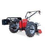 Ayka 10883250000 Kovacs Vt3/25 Yaya Kollu Sıra Arası Dikey Çapalama Makinesi