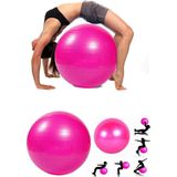 AYLA STAND 65 Cm Fitilli Pilates Topu Ve Pompa Seti Pilates Denge Yoga Spor Egzersiz Top Jimnastik Fitness Gym