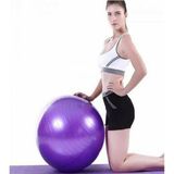 AYLA STAND 65 Cm Fitilli Pilates Topu Ve Pompa Seti Pilates Denge Yoga Spor Egzersiz Top