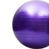 AYLA STAND 65 Cm Fitilli Pilates Topu Ve Pompa Seti Plates Denge Yoga Spor Egzersiz Top Jimnastik Fitness Gym