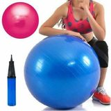 Ayla Stand 65 cm Mor Deluxe Pilates Topu 25 cm Çift Yönlü Pompa