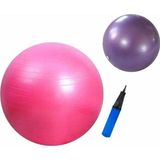 AYLA STAND 65 Cm Pembe + 25 Cm Pilates Topu 2'Li Set