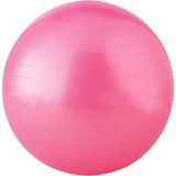 AYLA STAND Büyük Boy 65 Cm Pilates Topu