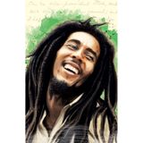 Aylak Adam Hobi 8681980580021 Bob Marley Yumuşak Kapaklı Defter