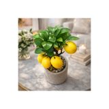 Aymumi Home Yapay Limon Ağacı Saksılı 26 Cm Dekoratif Bitki Gerçek Görünümlü Mini Limon Ağacı