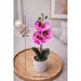 Aymumi Home Yapay Orkide Saksılı 34 Cm 3 Başlı Dekoratif Çiçek Gerçek Görünümlü Phalaenopsis Orkide