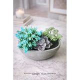 Aymumi Home Yapay Sukulent Aranjman Kase Saksılı 15X8 Cm Dekoratif Bitki Modern Masa Üstü Çiçek
