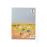 Aynalı (Metalik) Karton 10`Lu 23X33 Cm