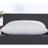 Ayrex 2 Adet Boncuk Silikon Yastık (700 Gram) Antialerjik (50X70 Cm) Beyaz Tek Ebat 50 x 70 - 10 cm - Çok Renkli