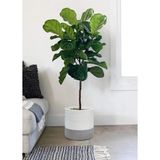 Ayrex Dekoratif Hasır, Jüt Sepet Saksı 25CM x 20 Cm, Jüt Bej Saksılık, Dekoratif Saksı ve Hav - Genel - Çok Renkli