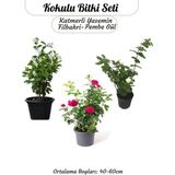 Ayrex Kokulu Bitki Seti Katmerli Ful Yasemin +Filbahri +Isparta Gülü Bahçe Balkon Bitkisi - Genel
