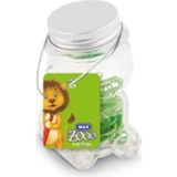Ayrex Mas Zoo - Cam Kavanozda Plastik Kapli Atas - No:2 - Yeşil - Çok Renkli - Genel