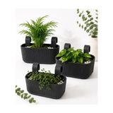 Ayrex Modern Balkon ve Küpeşte Saksısı 3,2 Litre Siyah Plastik Askılı Dikdörtgen 3'lü Set - Genel - Çok Renkli