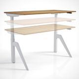 Ayrex Regula Desk Dandy M - Elektrikli Yükseklik Ayarlı Çalışma Masası, Sıradışı Tasarım, - Genel - Renkli
