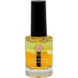 Ayrex Reva Tırnak Besleyici ve Canlandırıcı Jel 11 ml - Genel