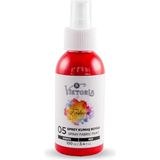Ayrex Viktoria Sprey Kumaş Boyası 100 ml (Kırmızı) - 2 Adet - Çok Renkli