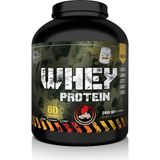 Ayrex Whey Protein 2100 Gr. Çilek-Beyaz Çikolata Aromalı - Genel