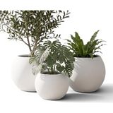 Ayrex Zevli Japandi Tarzı Modern Küre Saksı 3'lü Set - Su Sızdırmaz Dekoratif Salon ve Balkon - Genel - Çok Renkli