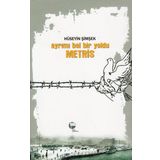 Ayrımı Bol Bir Yoldu Metris - Hüseyin Şimşek