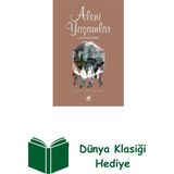 Ayrıntı Yayınları Aleni Yaşamlar + Dünya Klasiği - Hayır