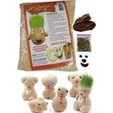 AyrStore Artlantis Çim Adam Yapım Seti 1 Paket Okul Eğitici Deney Seti Çim Adam Seti