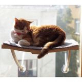 AyrStore Ata Home Yeni Dizayn Lüx Cam ve Duvar Için Kedi Yatağı Vantuzlu - Çok Renkli
