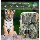AyrStore Buğz Fotokapan Kamera 16MP Full Hd 1080P Gece Görüşlü 2 Inç LCD Ekran Su Geçirmez - Çok Renkli