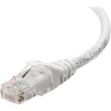 AyrStore Cat5 25 Metre Patch Ethernet Kablo
