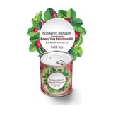 AyrStore Konserve Bahçem Evde Konservede Fındık Turp Yetiştirme Kiti