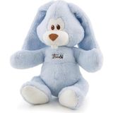 AyrStore Peluş Mavi Tavşan 26 cm