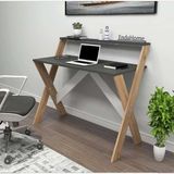 AyrStore Reyo Home Enda x Ayaklı Raflı Ders Çalışma Masası 50X90 cm Çam - Antrasit - 1 - Renkli
