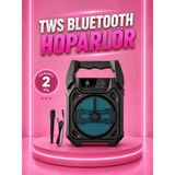 AyrStore Taşınabilir 6.5” Bluetooth Hoparlör USB Tf Kart Mikrofonlu Şarjlı Sistem