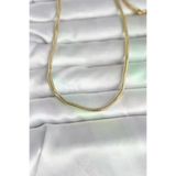 Ayşegül hediyelik Ayşegul hediyelik CM 14K Gold Renk Yılan Zincir Model 60 cm Kadın Kolye