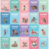 Ayşegül Serisi 20 Kitap Set - 2 - Arkadaşı Serçeyle - Çiçek Şenliğinde - Denizin Tadını Çıkarıyor - Dört Mevsim - Fındık Kayıp - Esrarengiz Komşu - Arkadaşım Karakaçan - Hayır