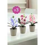 Ayshe Home Concept 3 Adet Dekoratif Orkide Mini Çiçek Saksılı Çiçek Süs Ev Dekorasyon Bordo-Mavi-Pembe