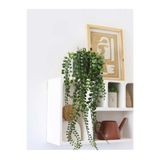 Ayshe Home Concept Dekoratif Saksılı Yapay Sarkıt Bitki Çiçek Sarmaşık Karışık Renk 35cm