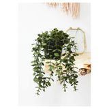Ayshe Home Concept Saksıda Sarkan Okaliptus Karışık Renk Saksı Yapay Çiçek Sarmaşık 28 Cm