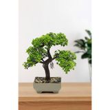 Ayshe Home Concept Yıldız Yapraklı Yapay Ağaç Saksılı Masaüstü Dekoratif Çiçek-Bonsai Ağacı