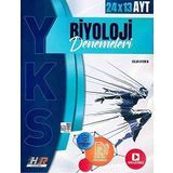 AYT Biyoloji 24 x 13 Denemeleri