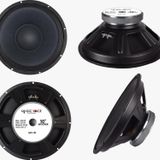Ayt Magicvoice Mv-10 Max 450W Rms 200 Watt 10 Woofer Yedek Hoparlör